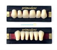 Primodent Frontzähne Oberkiefer Primodent Frontzähne Oberkiefer
