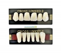 Cross Linked 2 Frontzähne Oberkiefer Cross Linked 2 Frontzähne Oberkiefer