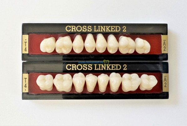 Cross Linked 2 Seitenzähne