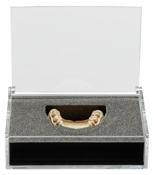 Präsentationsbox Eco 10 2449501 - 5 Stück