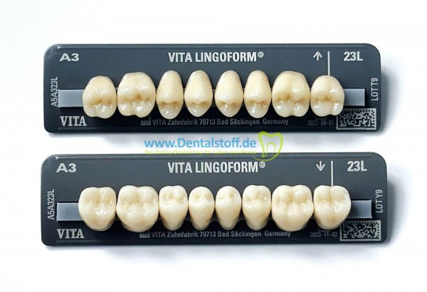 VITA VITAPAN LINGOFORM POSTERIOR Seitenzähne