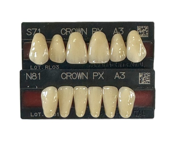 Yamahachi Crown PX Composite Frontzähne Oberkiefer