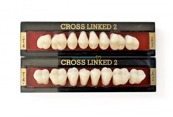 Cross Linked 2 Seitenzähne